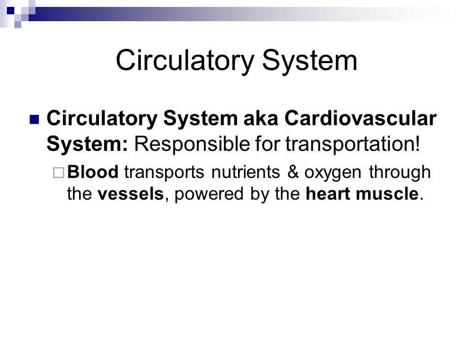 Transportation: Canada’s Circulatory system- Fact sheet Chapter 30